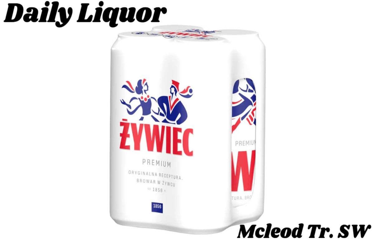 ZYWIEC BEER 4 PACK (1 x 4 CANS)