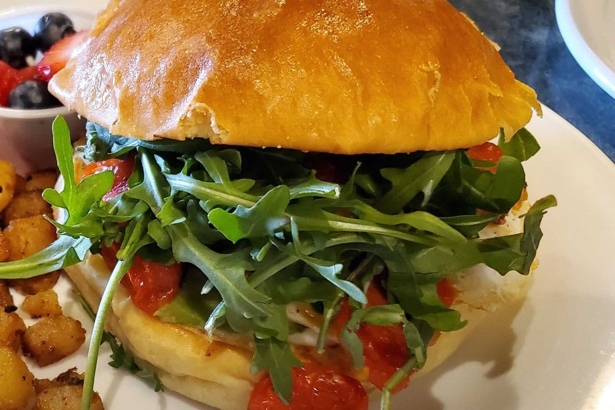 Garden Burger
