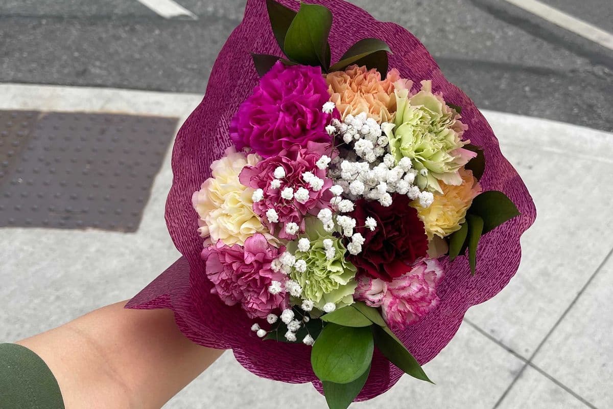 Assorted Carnation Bouquet - 10 Stems