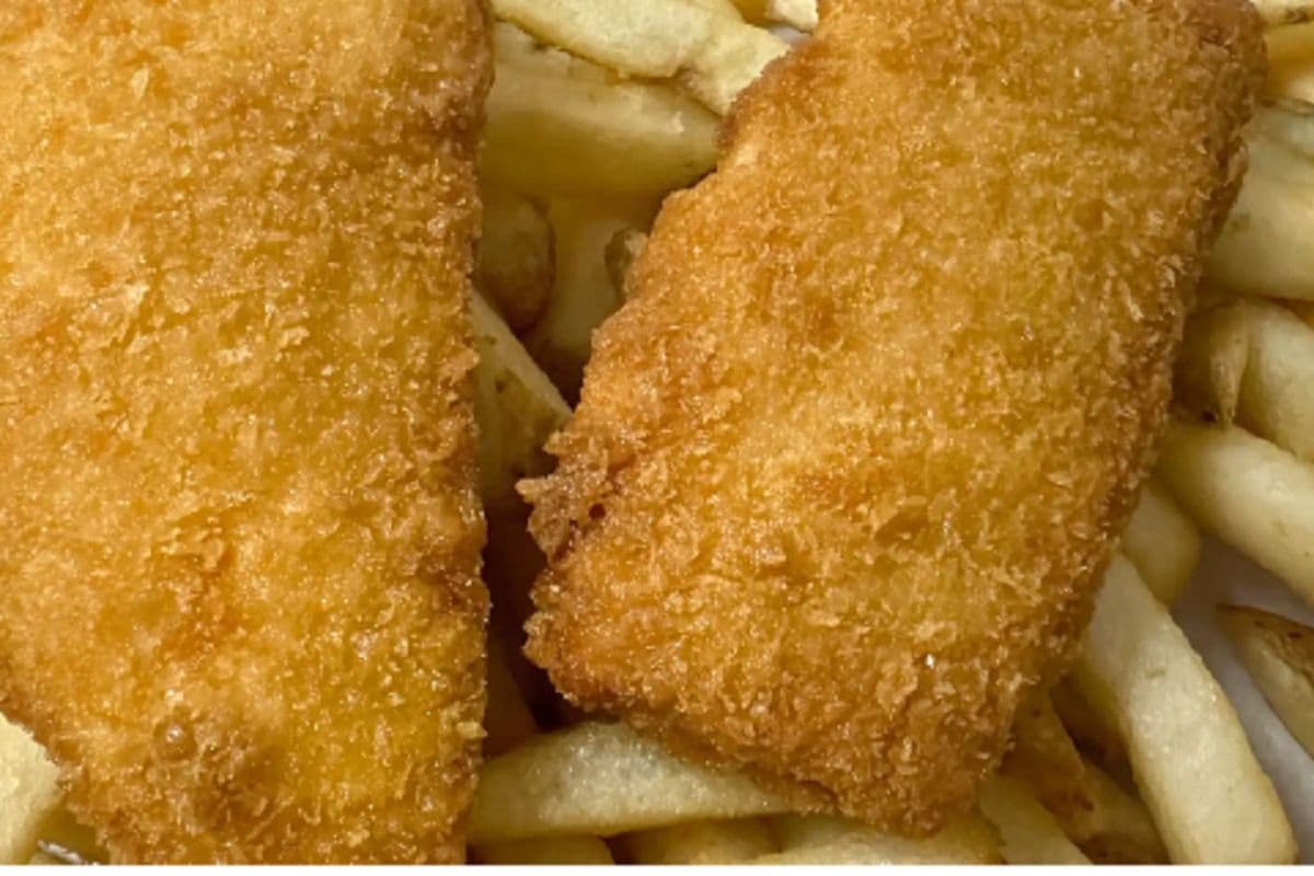 Four Pieces Halibut Tenders and Fries