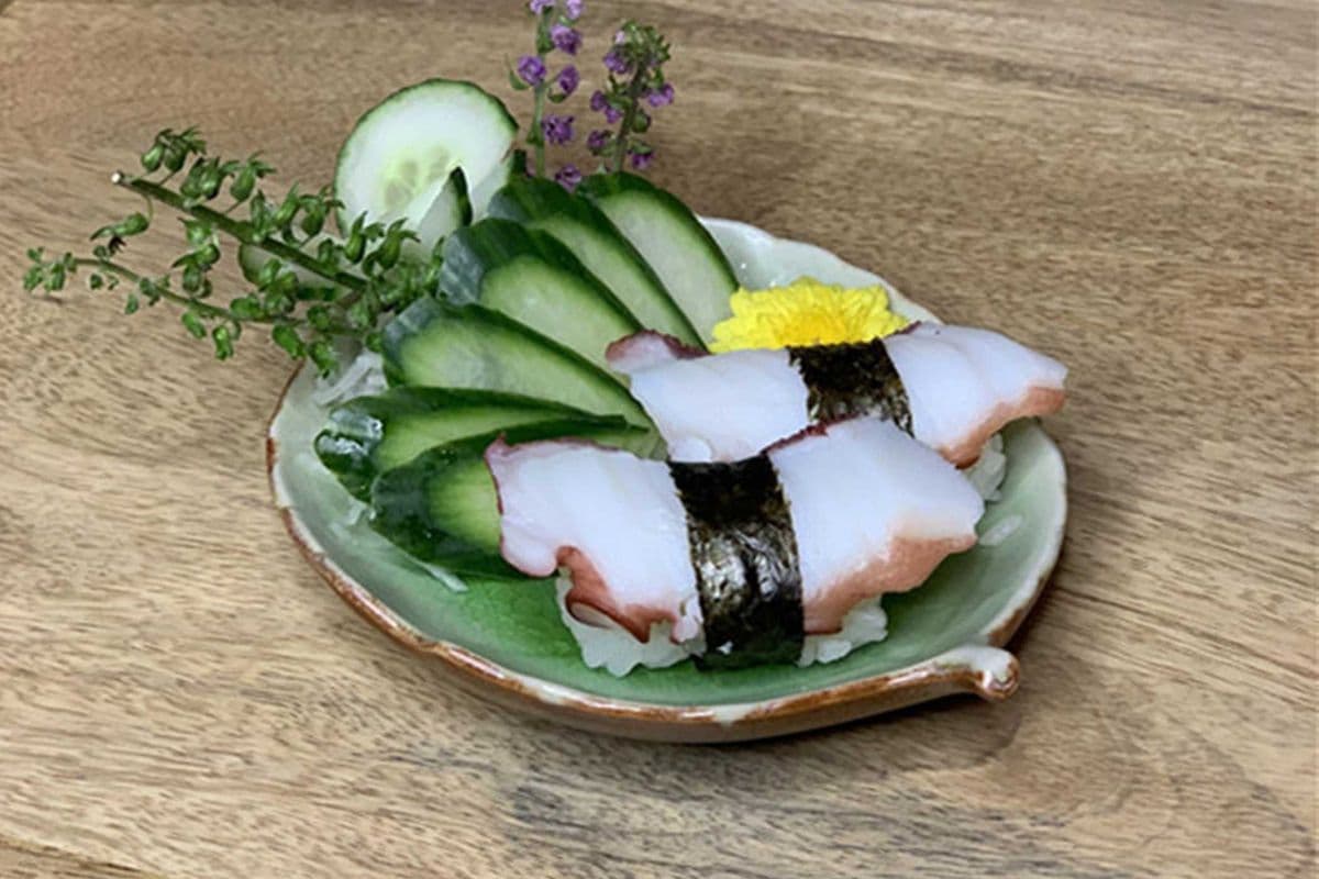 010 Octopus (1 pc)