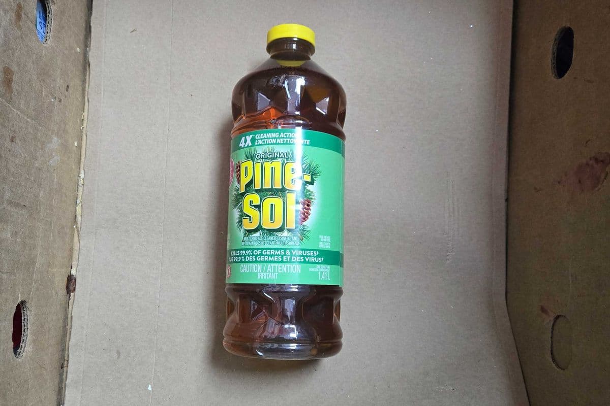 PINE-SOL TUE 99.9% DES GEMES ET DES VIRUS (1.41 L)
