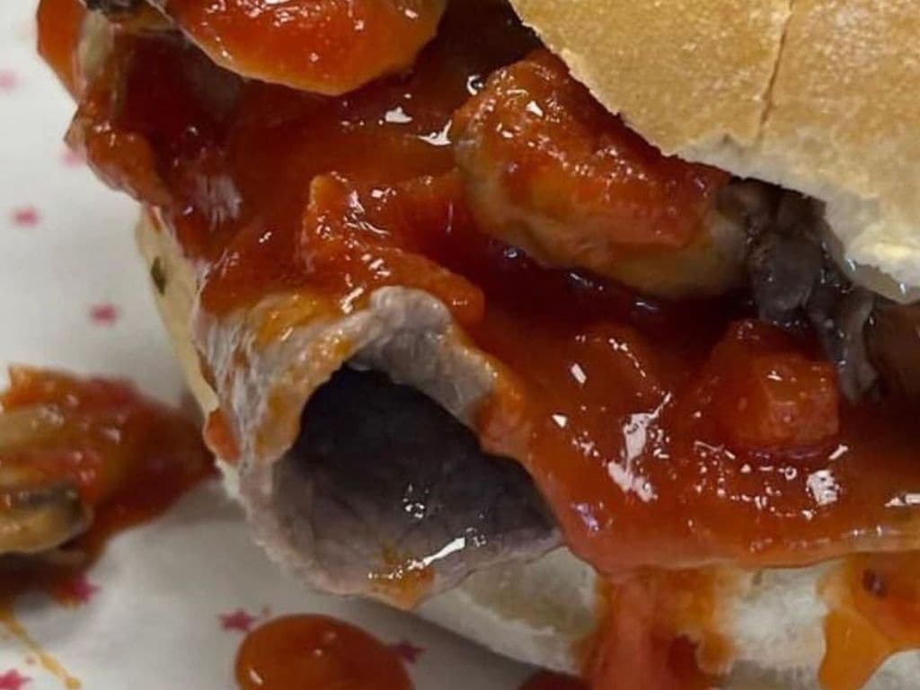 STEAK WITH ONIONS SANDWICH