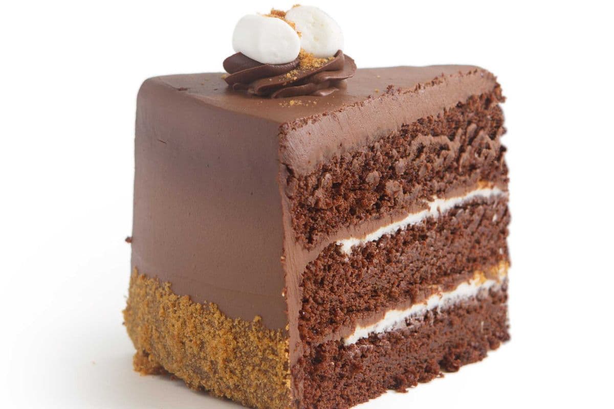 VC3 Chocolate S'mores Cake
