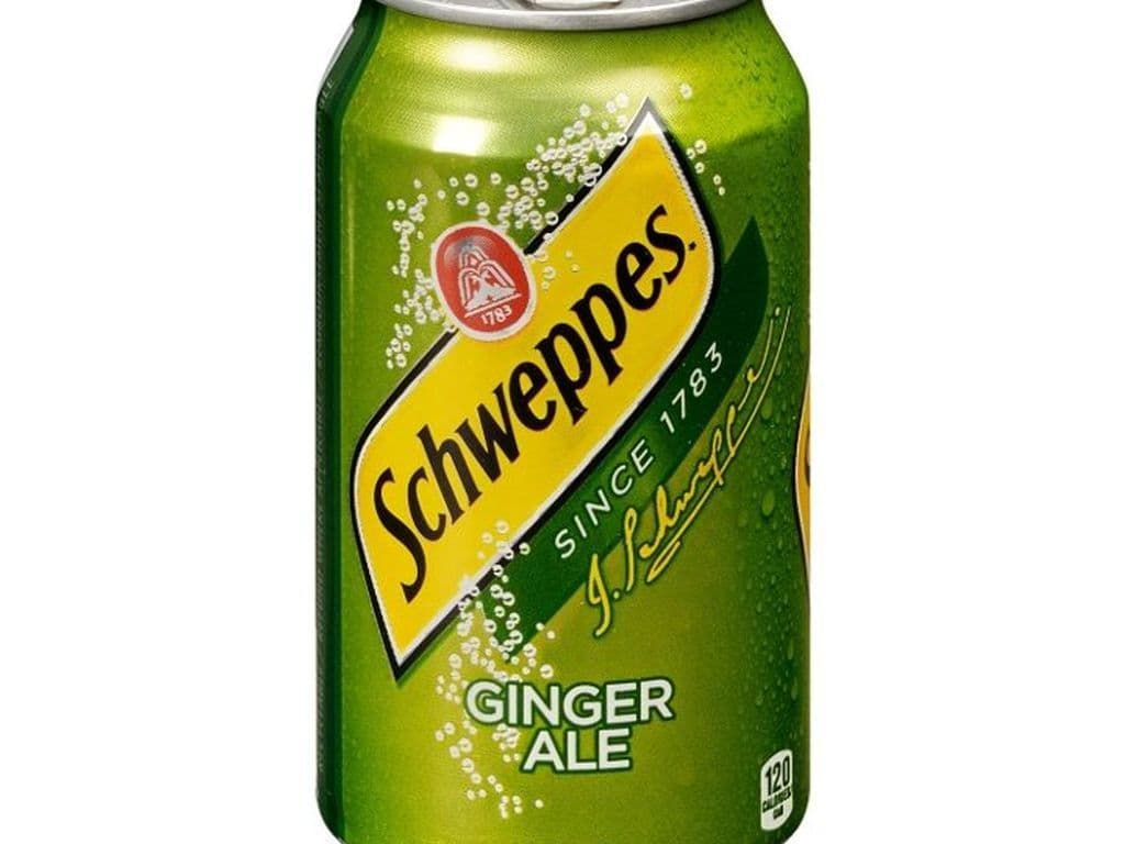Ginger Ale 355mL
