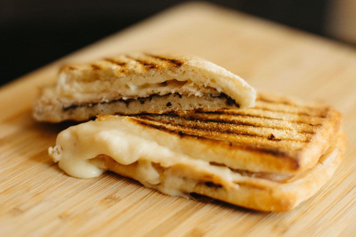 Turkey and Mozzarella Panino