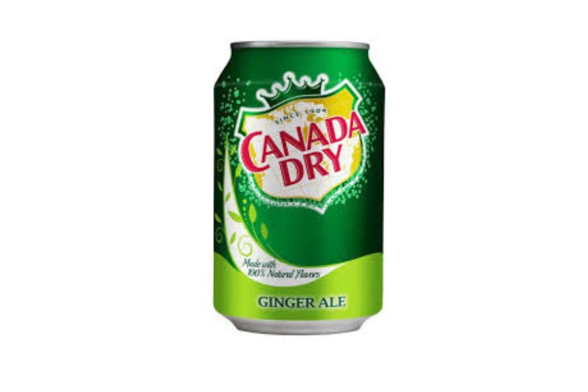 Canada Dry Ginger Ale Can (355ML)