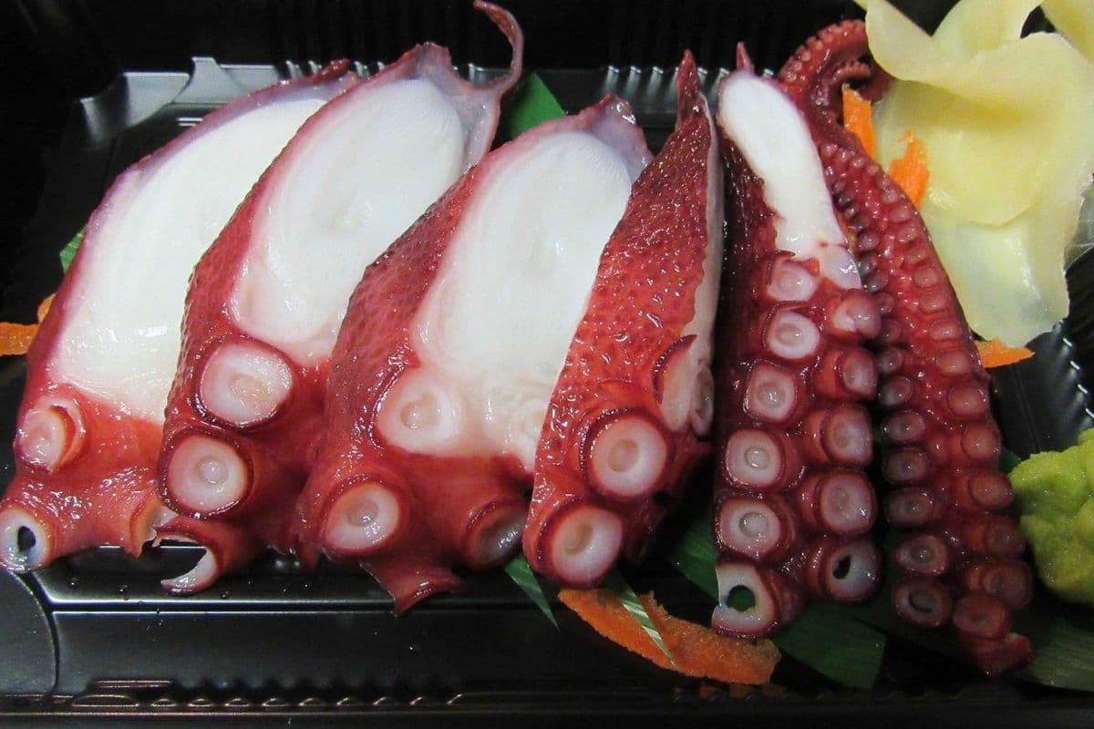 Tako (Octopus) Sashimi (6 pcs)