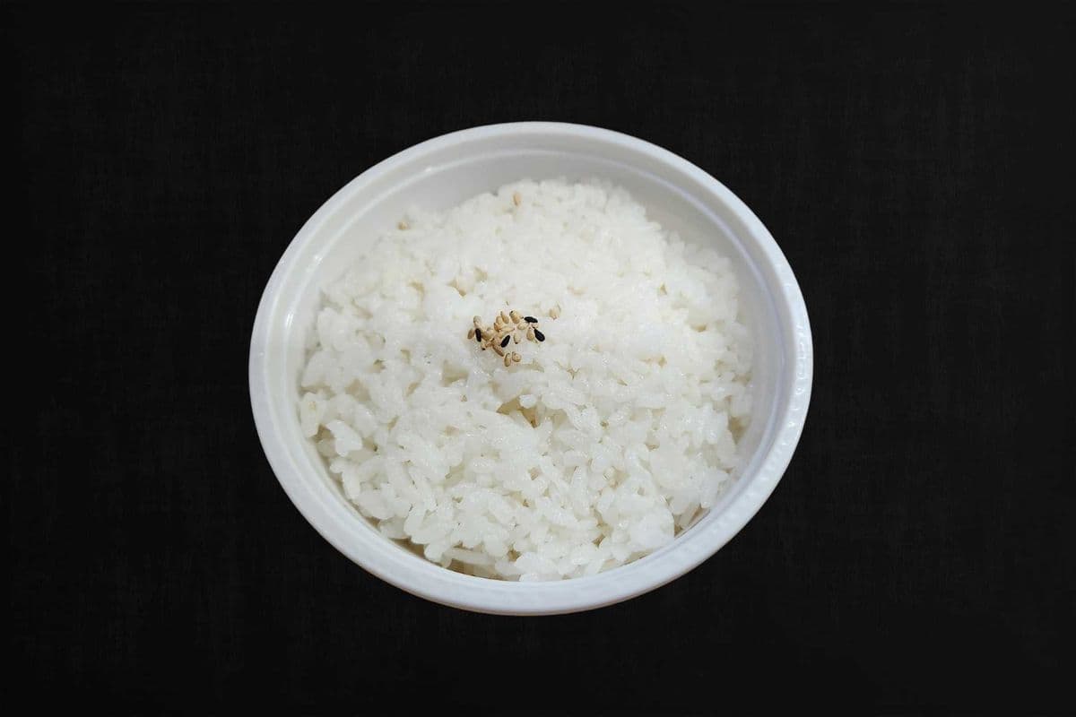 Rice