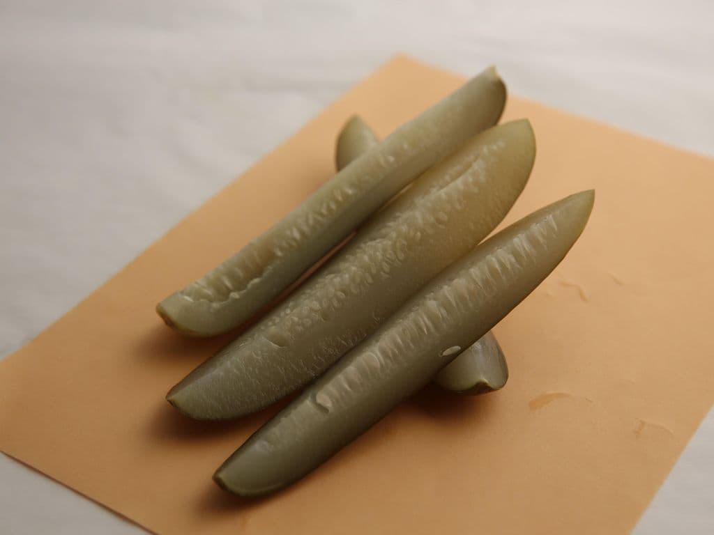 Kosher Dill