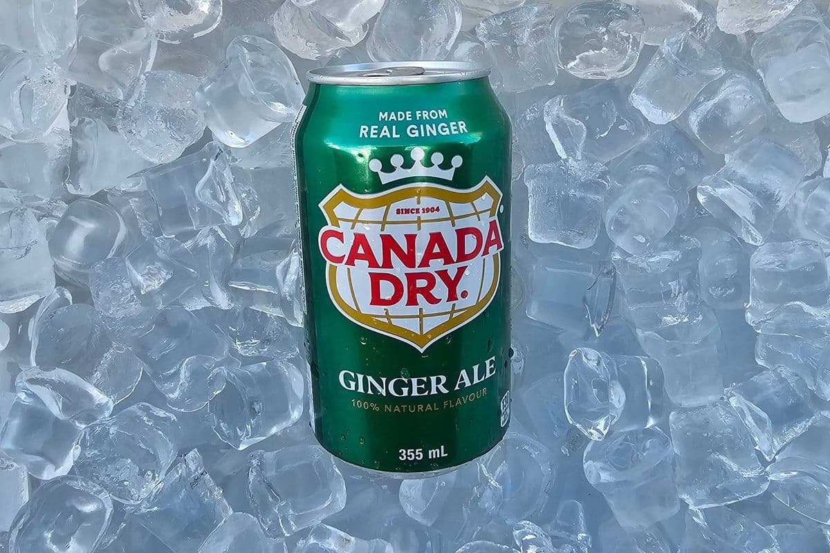 Canned Soda - Ginger Ale