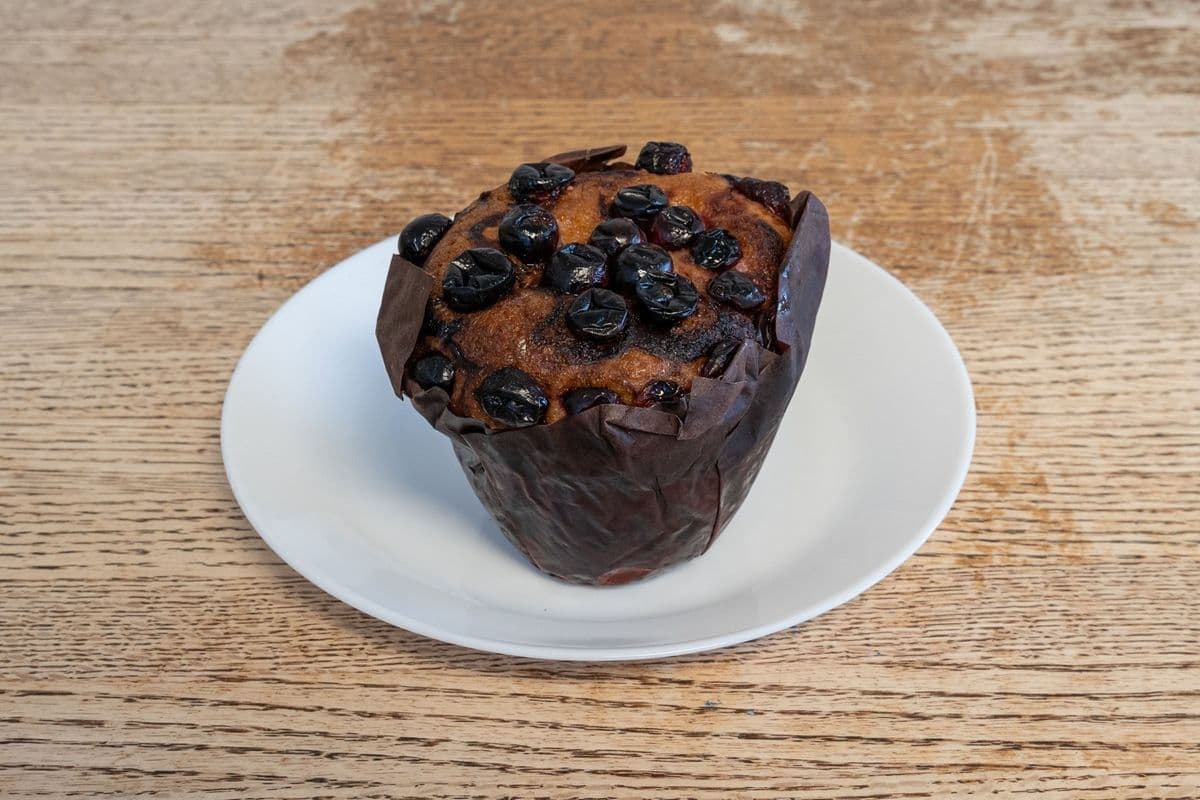 Blueberry Muffin
