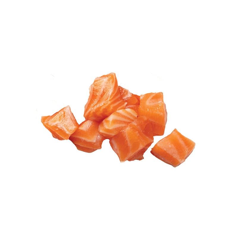 Saumon / Salmon
