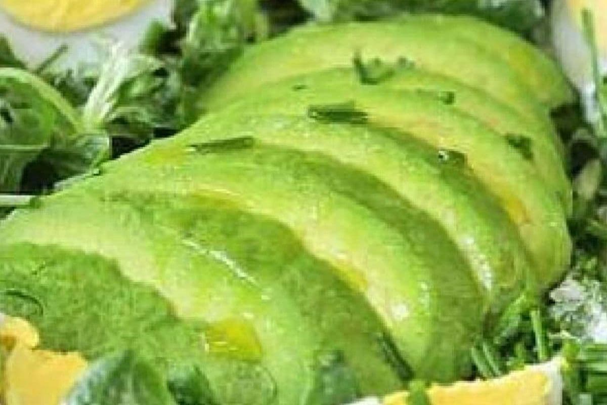 Avocado Salad