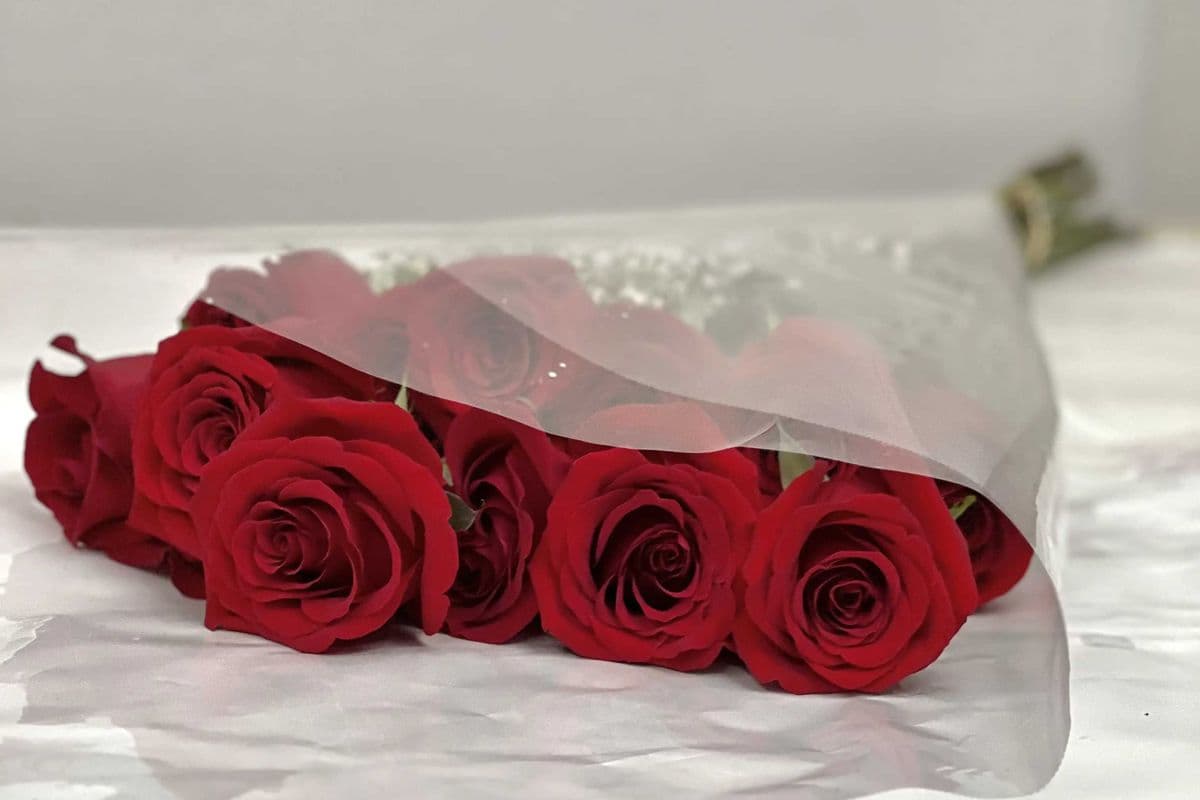 A Dozen Red Roses
