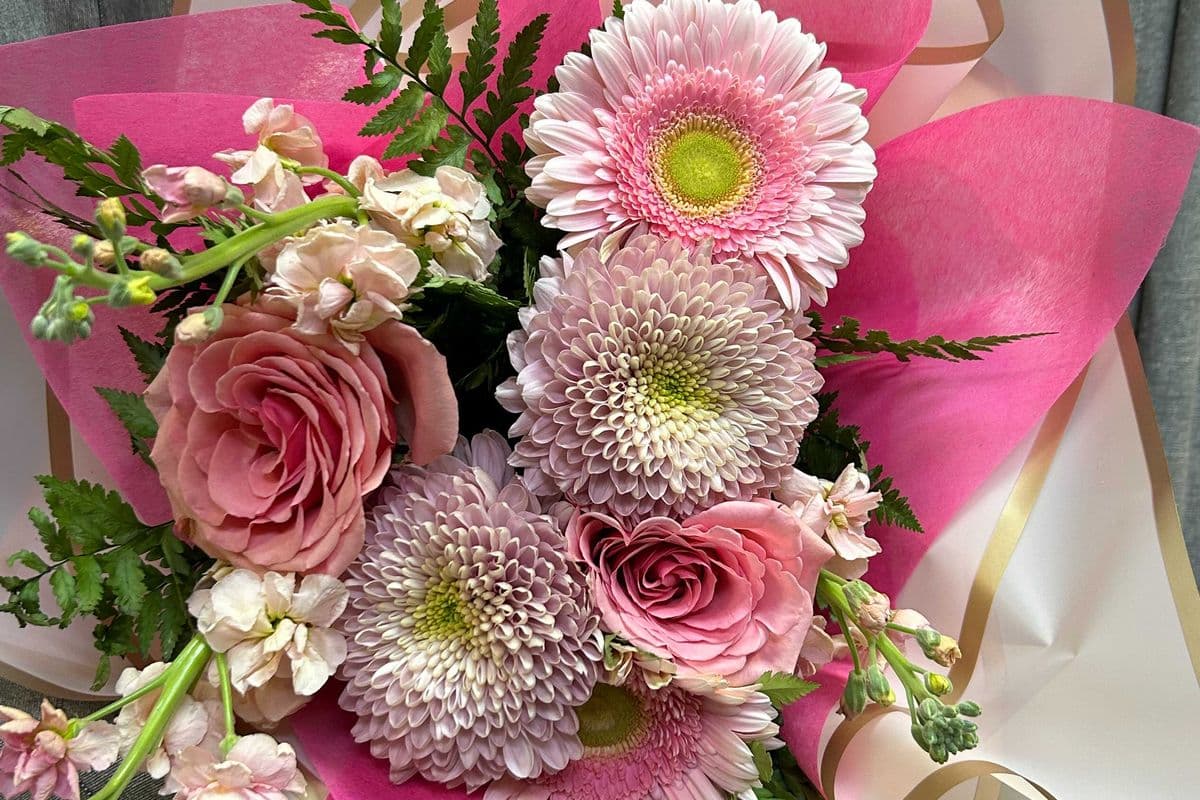 Pink Splash