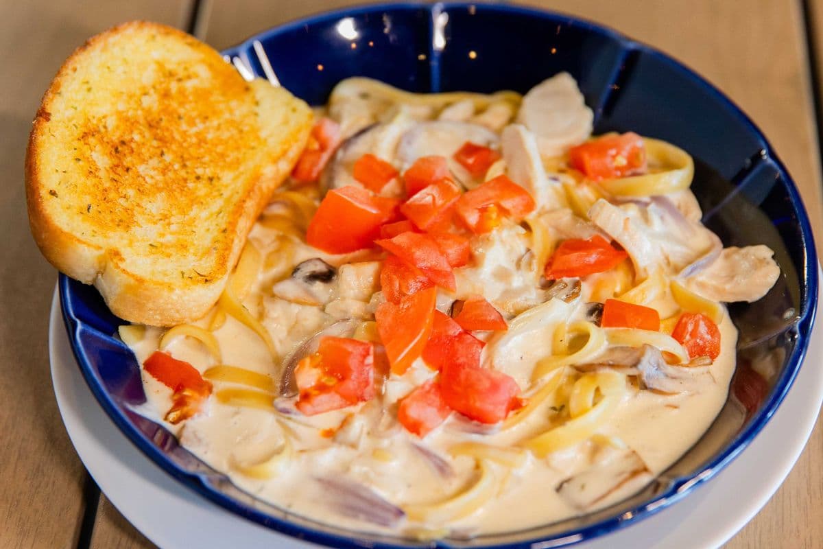Chicken + broccoli Alfredo