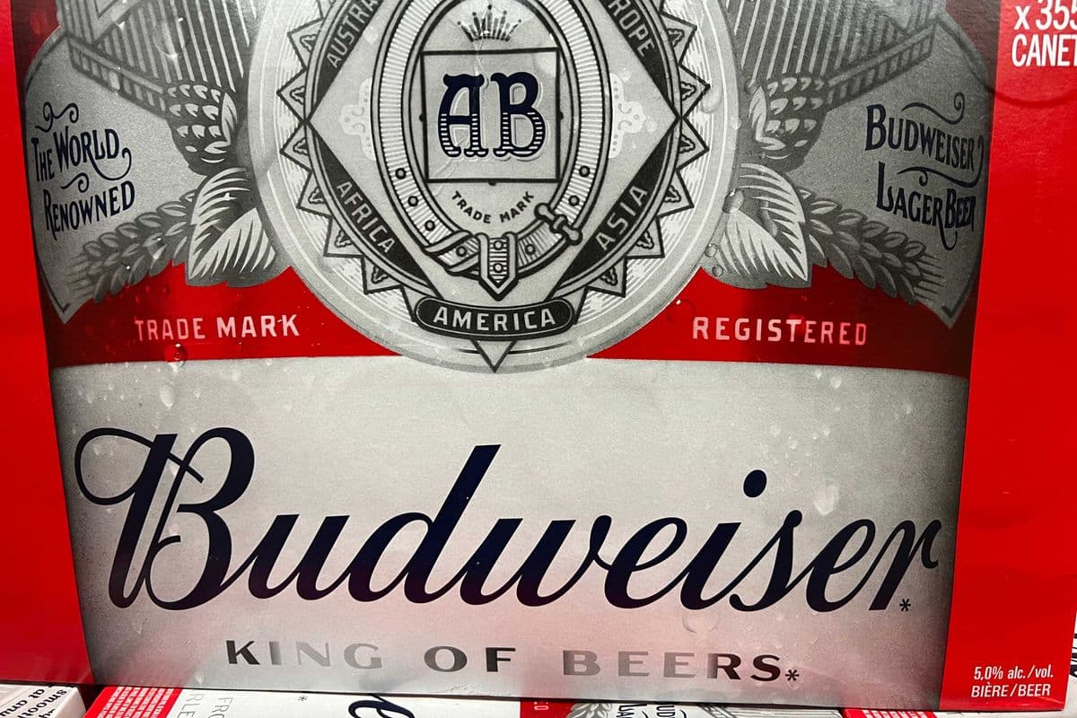 Budweiser (24 x 355ml)