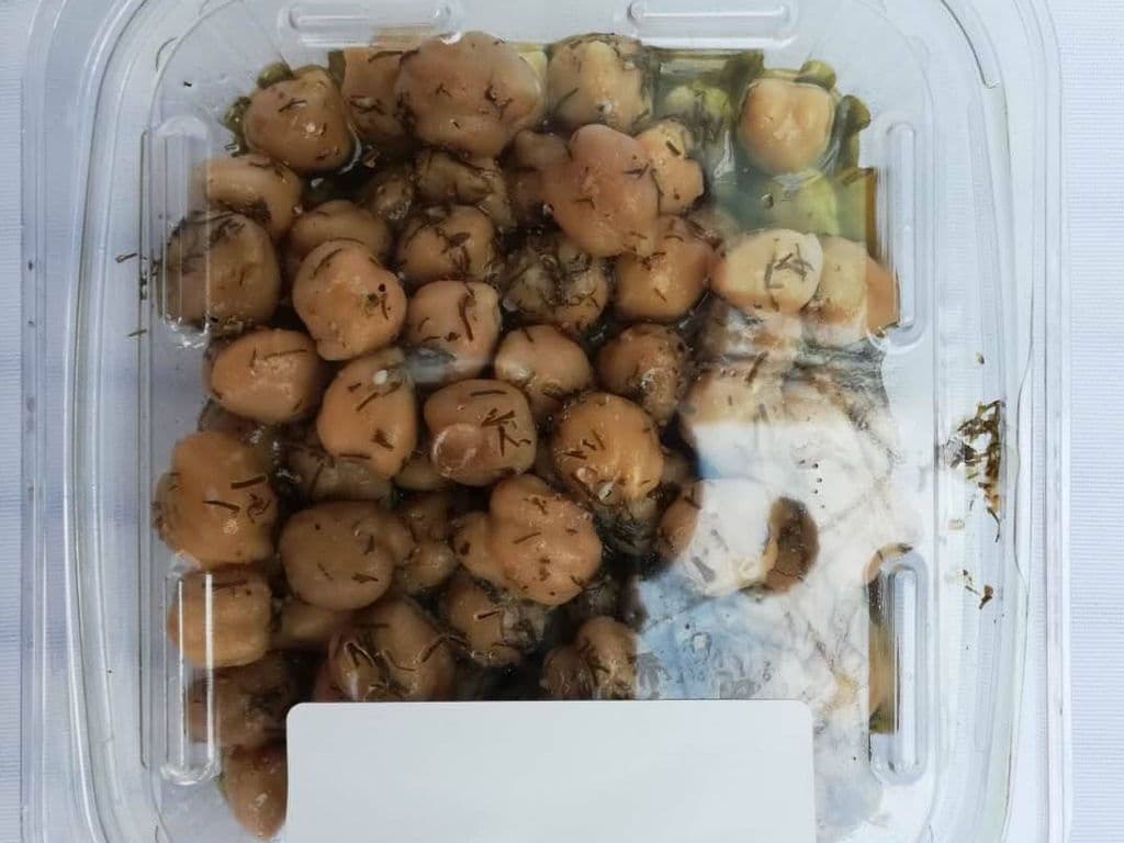 F2T CHICKPEA MARINADE