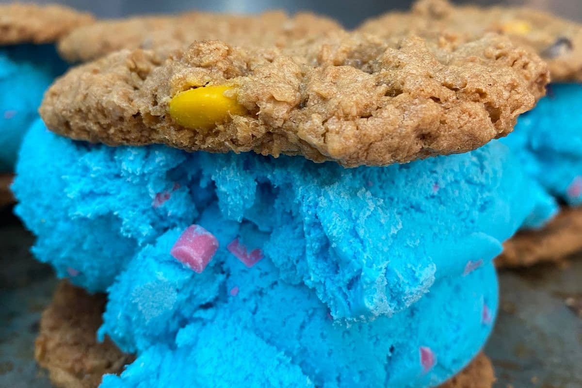 Artisan Ice Cream Sandwhich