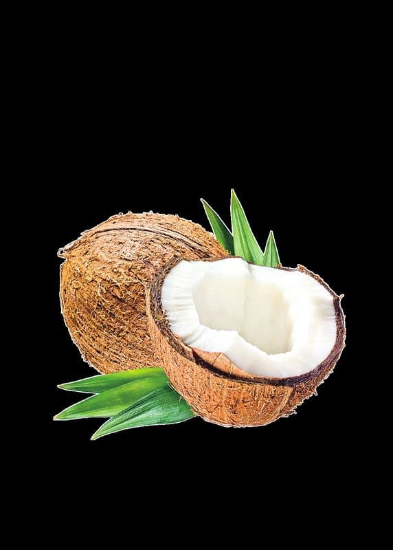 J1. Coconut Juice