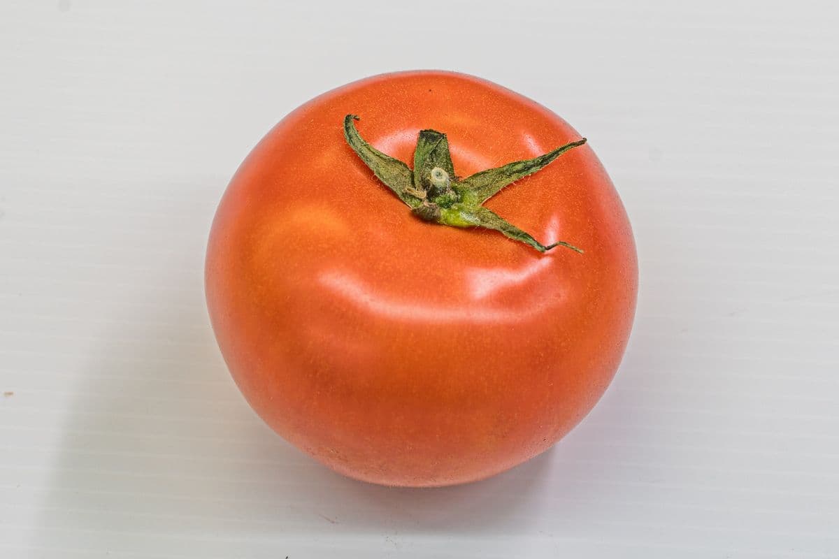 Italian Tomate (1 lb) / Italian Tomato (1 lb)