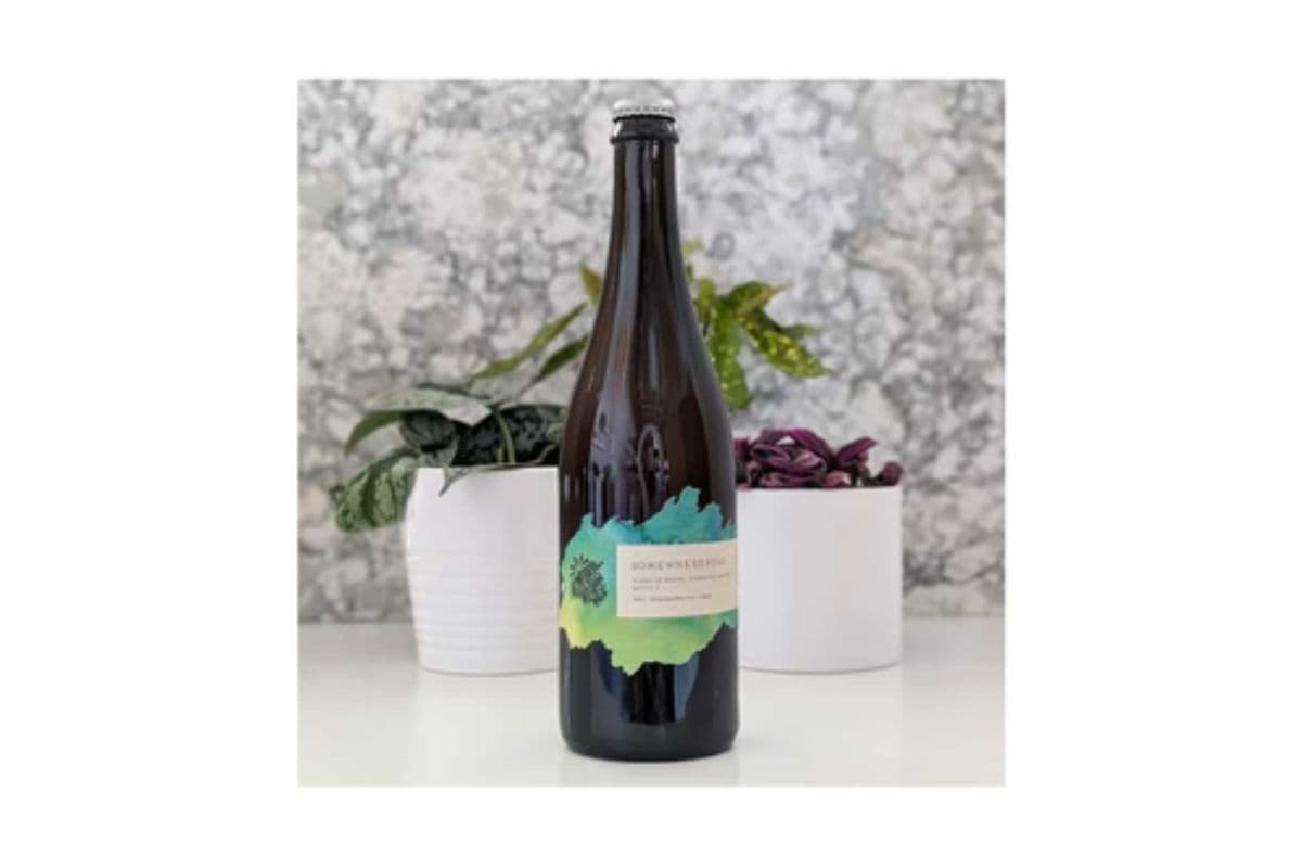 Temporal Somewhereness Barrel Fermented Saisons (750ML) (1 x 750ML)