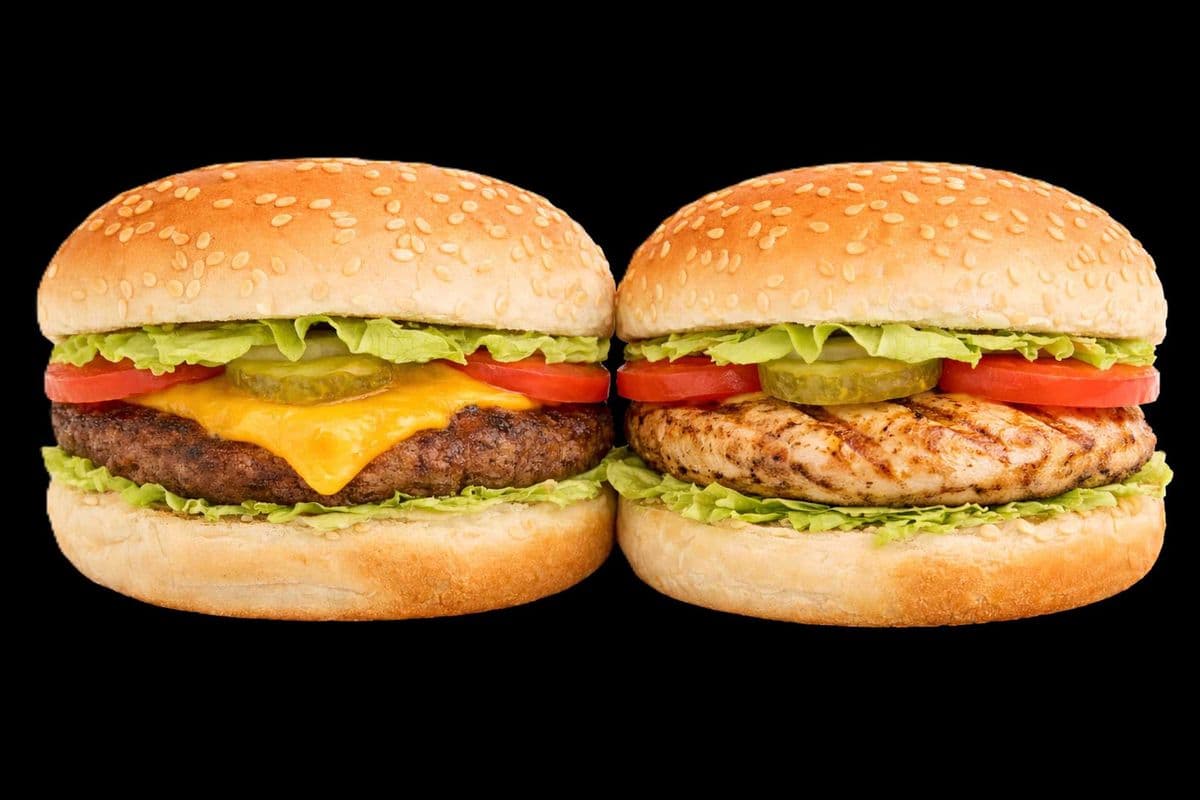 2 Homemade Cheese Burger Sandwiches