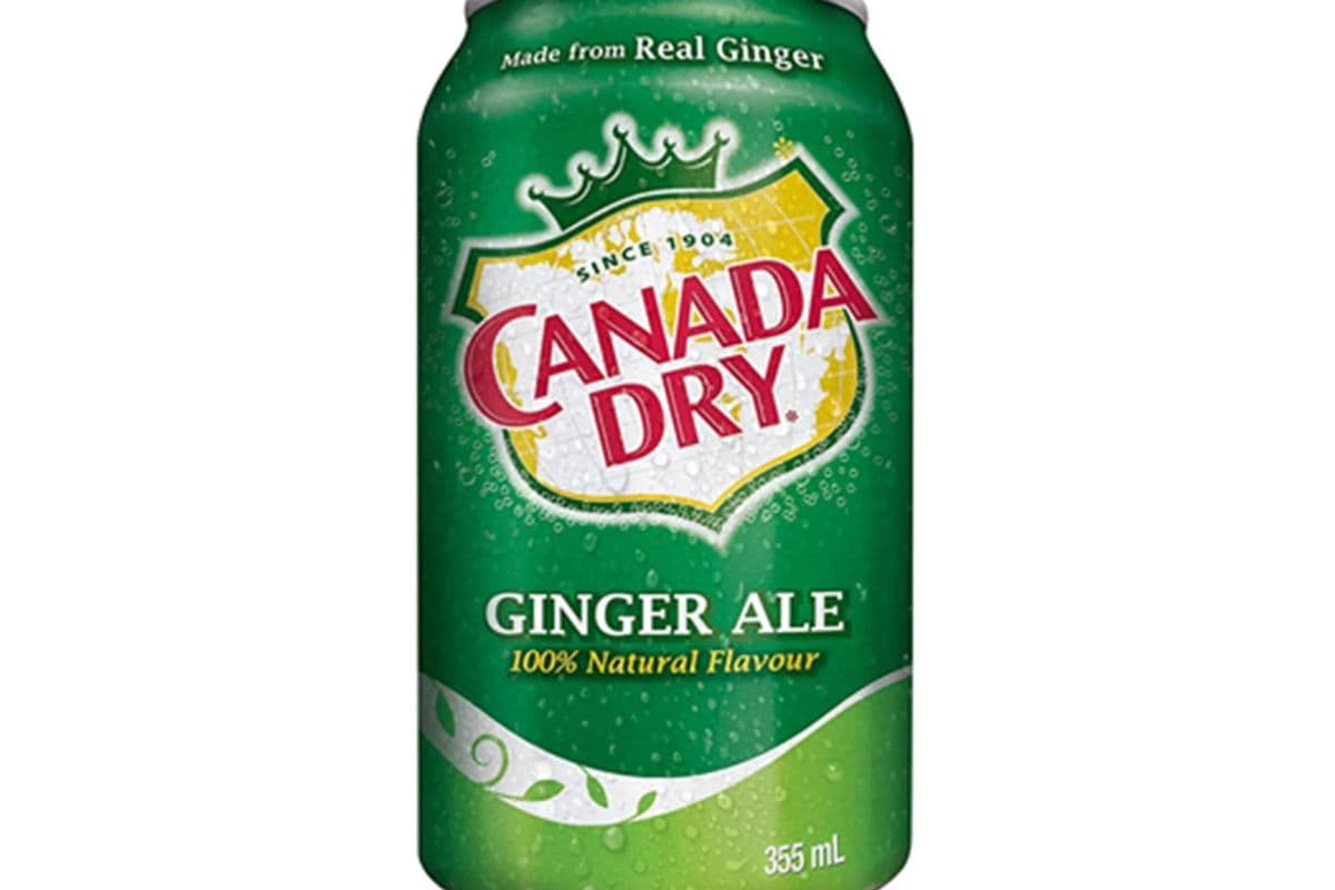 Ginger Ale (355ml)