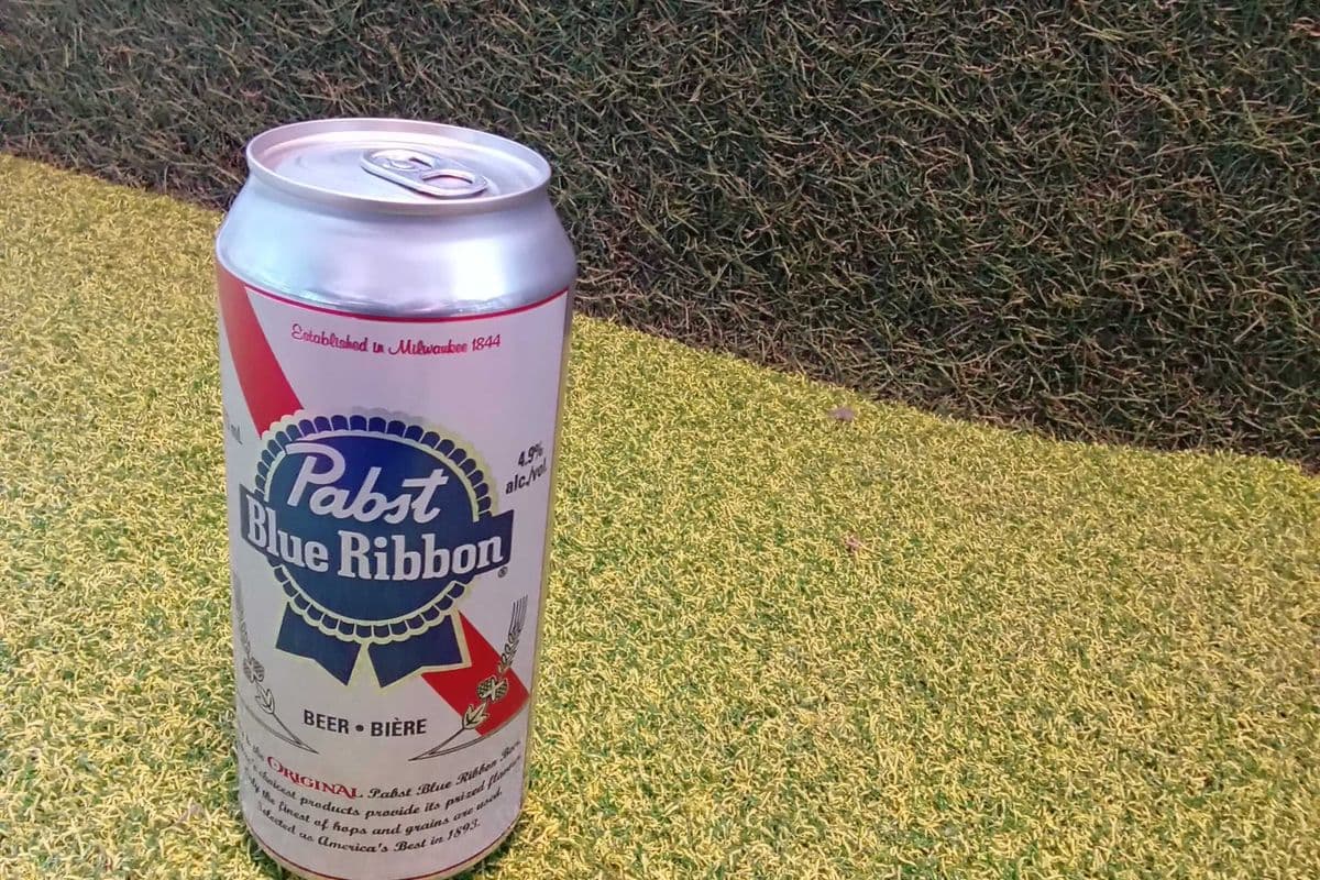 Pabst Blue Ribbon (1 x 473 ml)