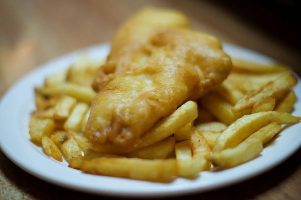 Fish Only- Haddock