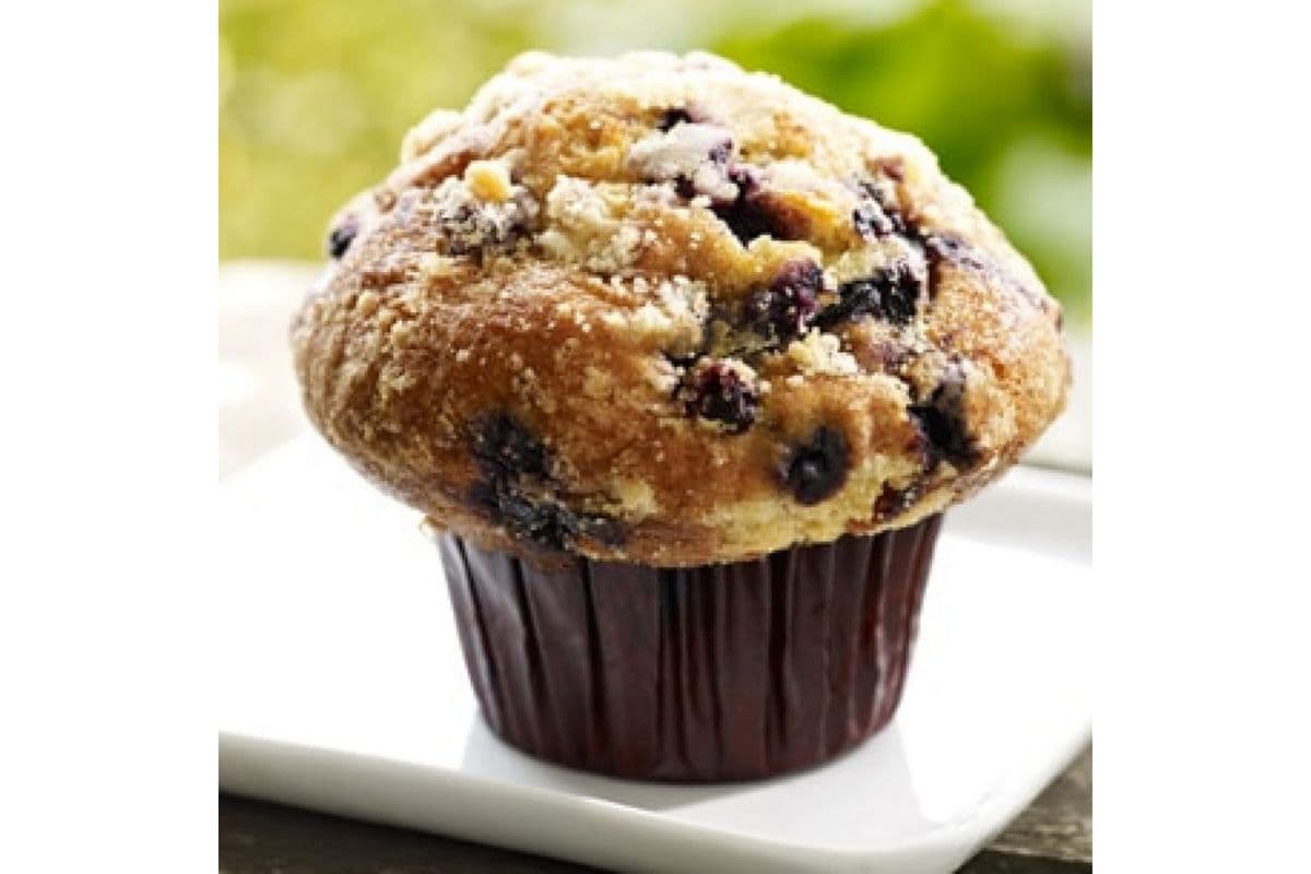 Blueberry Muffin