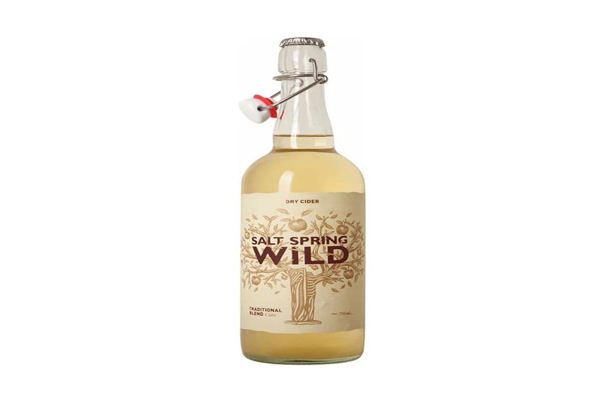 Salt Spring Wild Dry Apple (1 x 750ML)