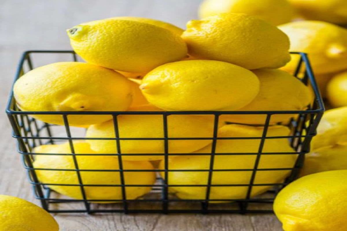 Bayside Full Lemon