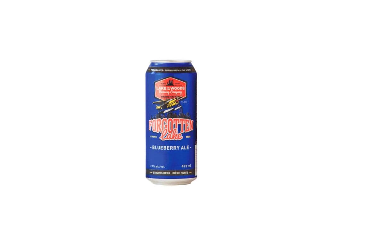 Forgotten Lake Blueberry Ale (1 x 473ml)