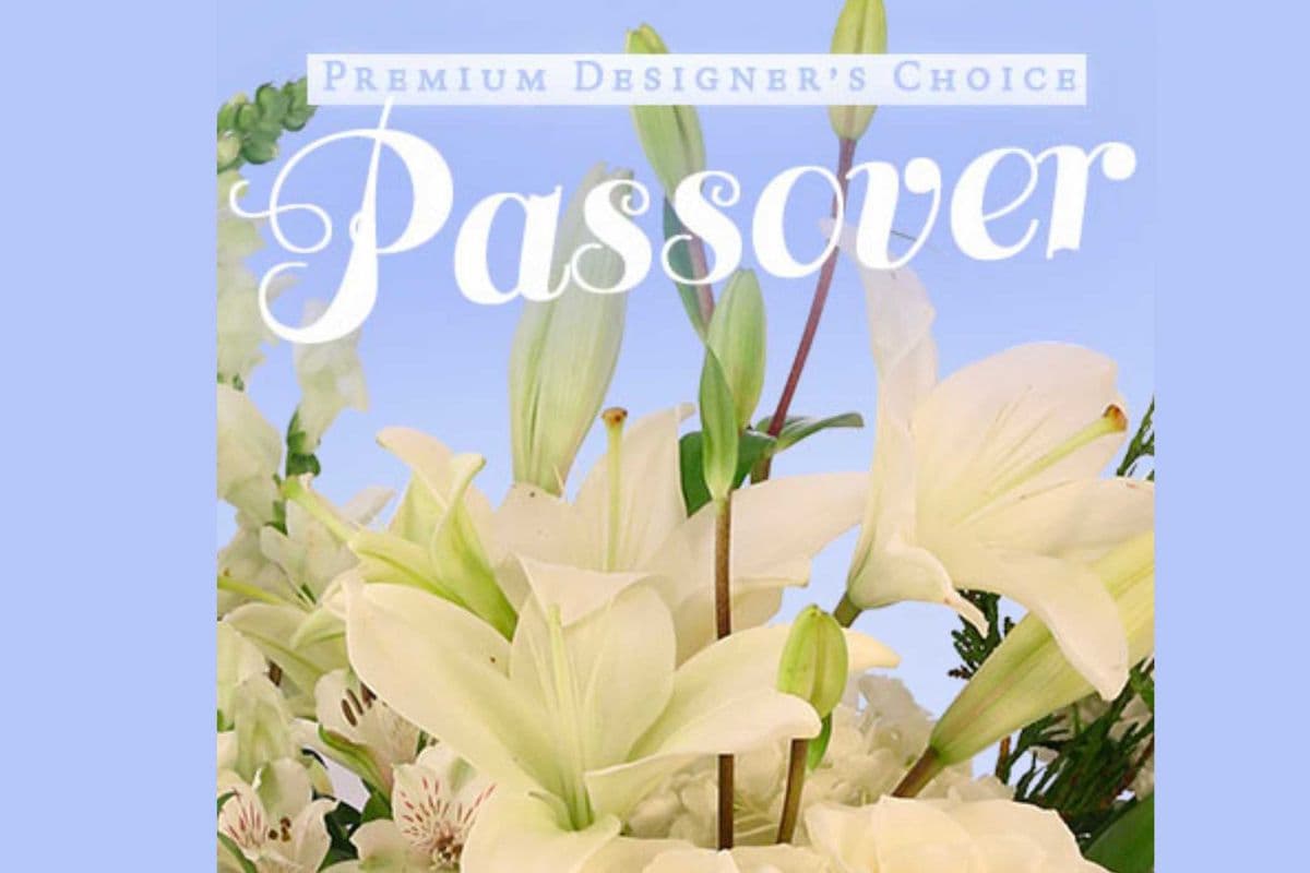 PassoverPremium Designer's Choice