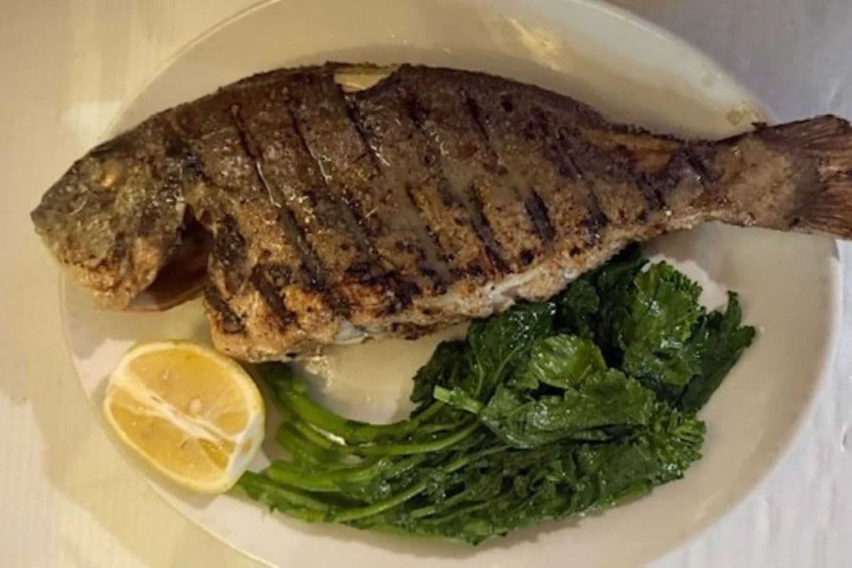 Grilled Sea Bream