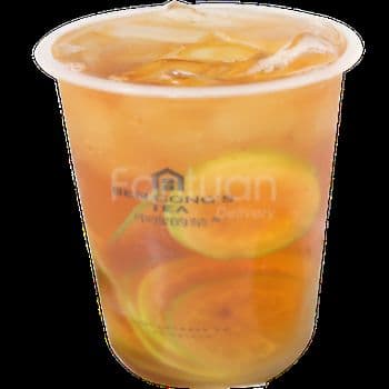 Pu'er Tea Sparkling Tea / 气泡普洱