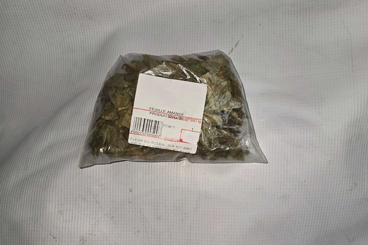 FEUILLE AMANDE