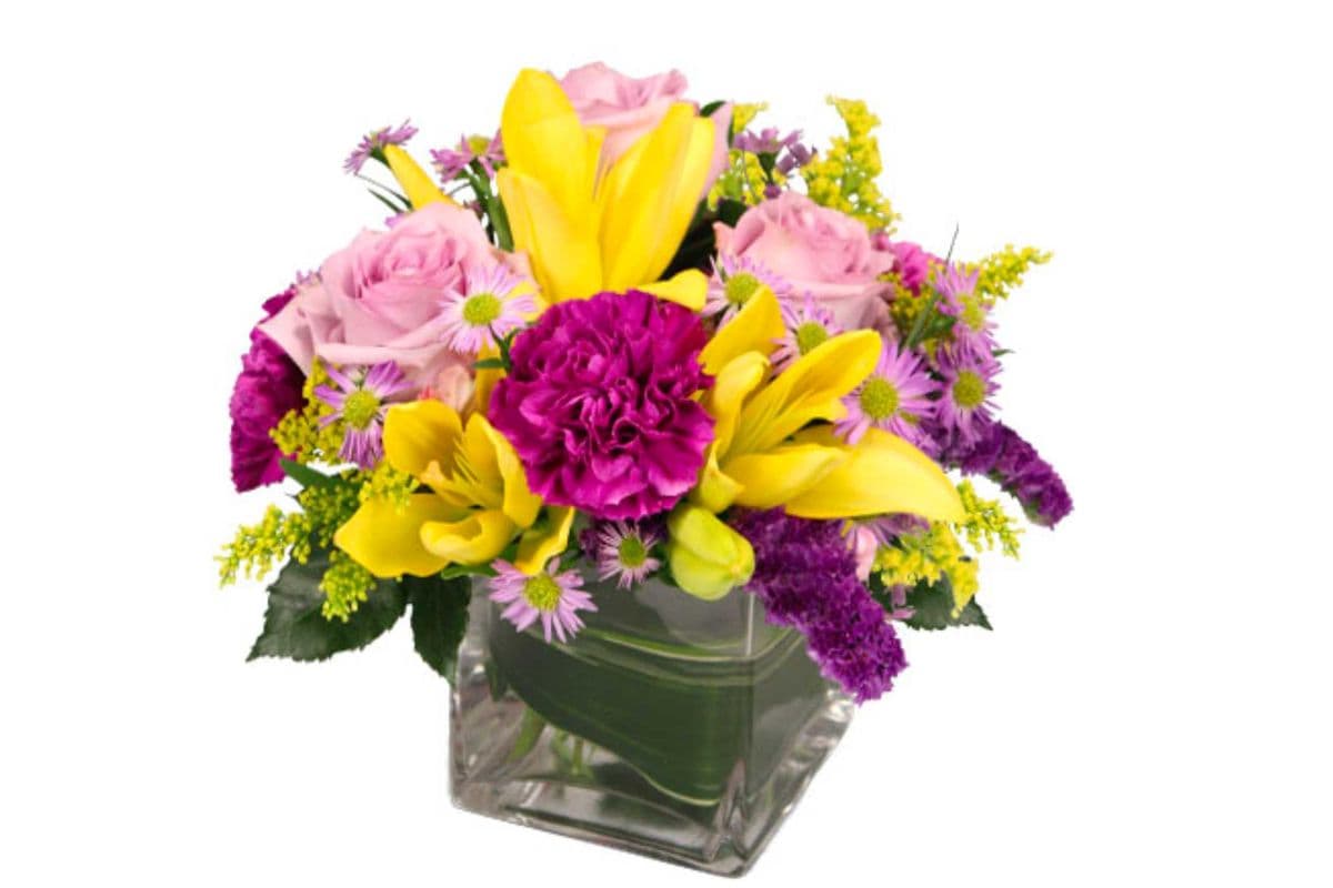 High Impact Arrangement