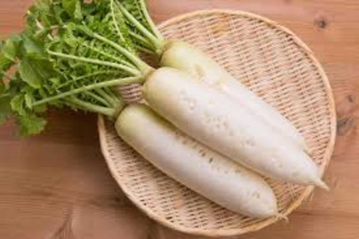White Radish (6 pcs)/ 白蘿蔔