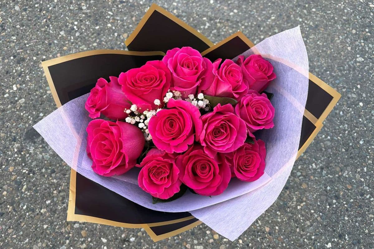 Premium Dozen Roses Special - Hot Pink