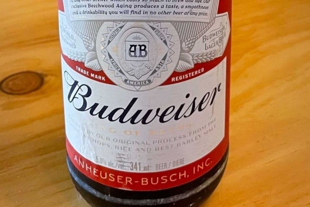 Budweiser (1 x 355ml Bottles)