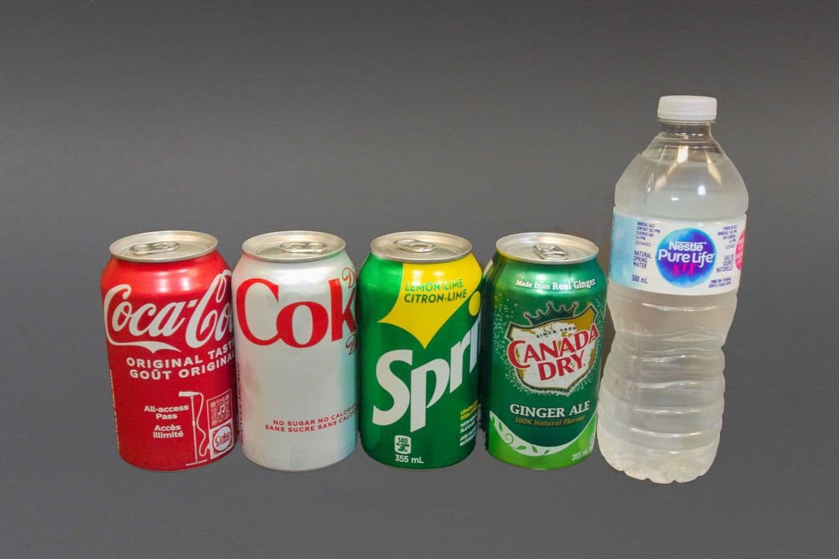 Canada Dry Ginger Ale (Can) (355 ml)