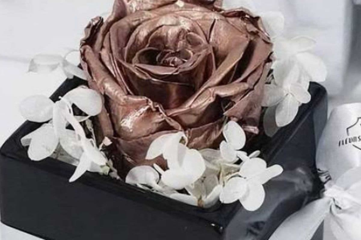 Single Eternal Rose in Accent Piece (Extra Large)