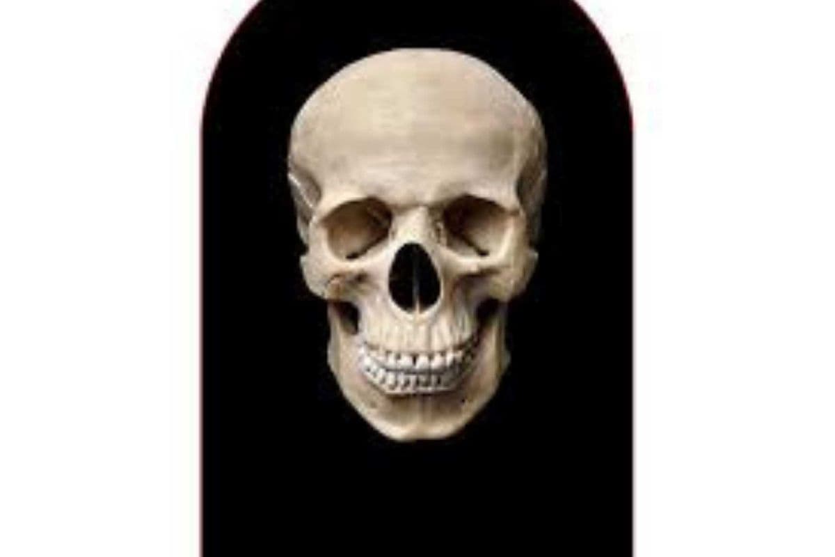 FaceFreakz Balaclava - Skull