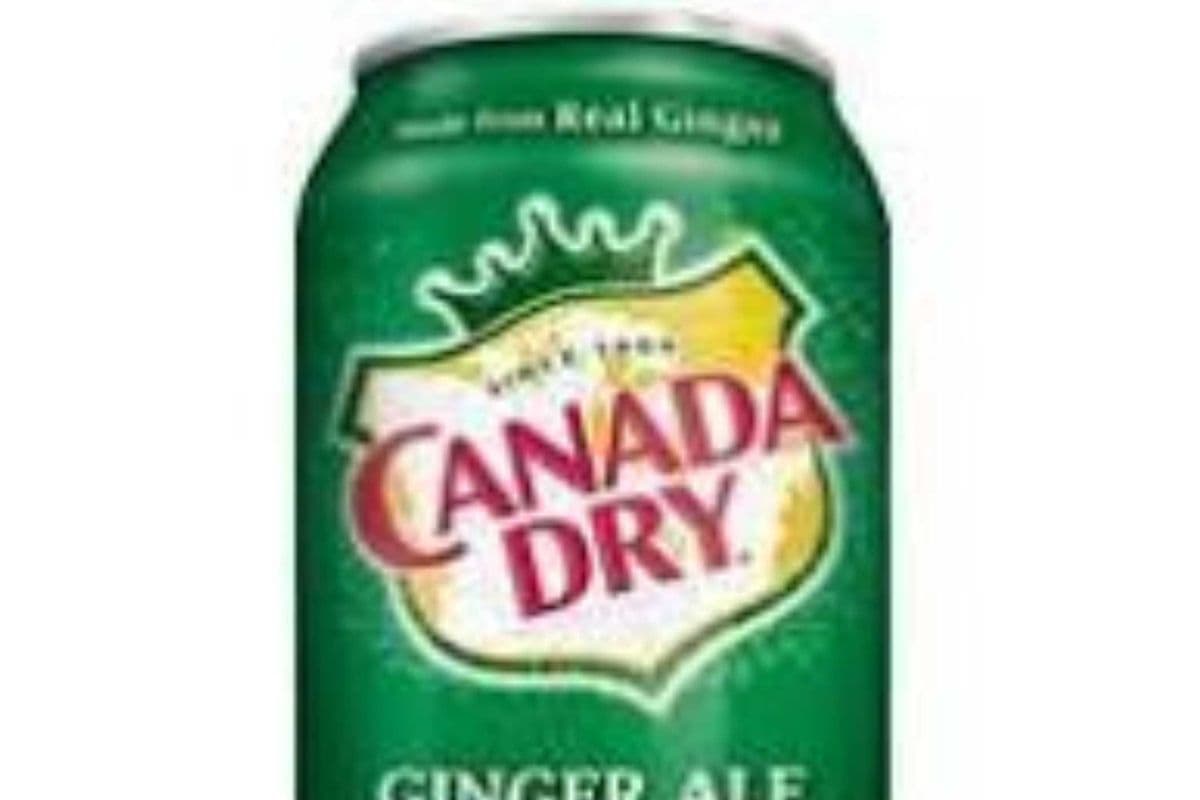 Canada dry (355ml)