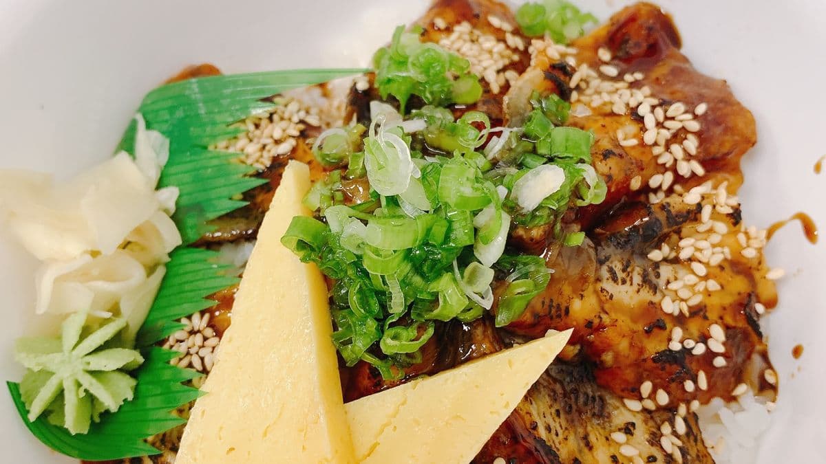 Unagi Don