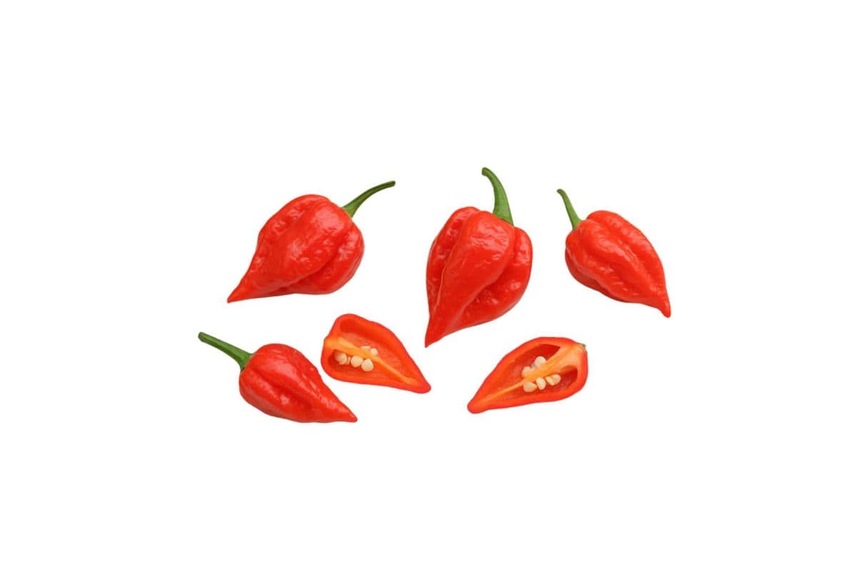 Fresh Pepper (Ghost Pepper) - Small