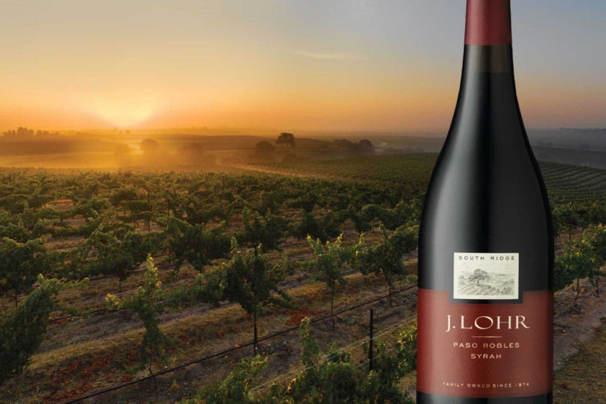 J LOHR SYRAH 'SOUTH RIDGE' (750ML) (1 x 750ML)